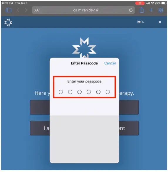 Mirah iPad passcode entry screen for user authentication