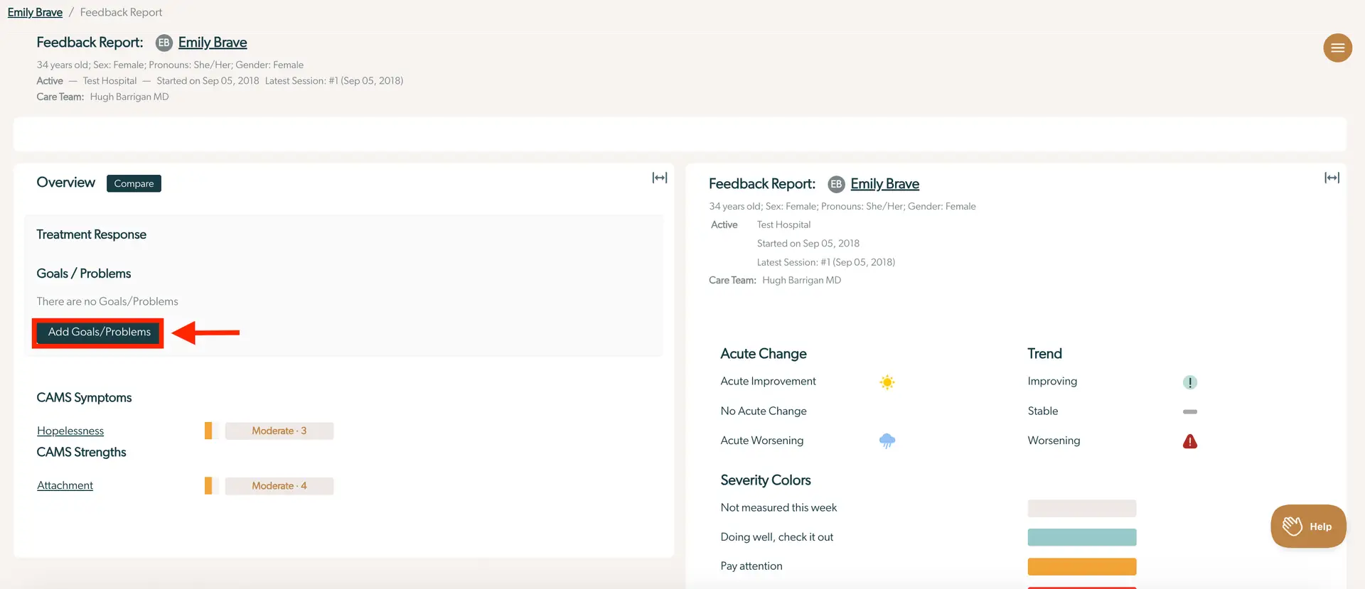 Emily Brave Feedback Report page showing Goals/Problems section with Add Goals/Problems button