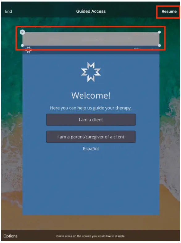Mirah Guided Access setup screen on iPad with options for client or parent/caregiver role selection.