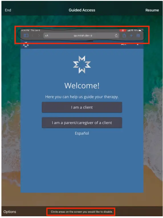 Mirah Measurement-Based Care iPad Guided Access Welcome Screen